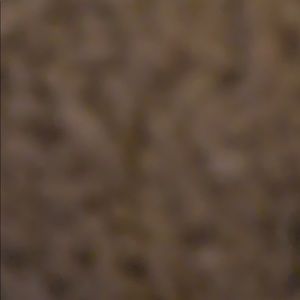 Meet your Posher, Sofia